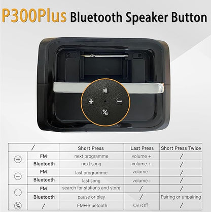 Portable Power Station (Solar Generator ) P300A Plus(with Bluetooth and FM radio) - Purmars Power