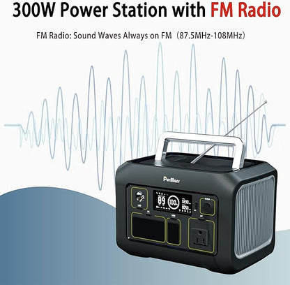 Portable Power Station (Solar Generator ) P300A Plus(with Bluetooth and FM radio) - Purmars Power